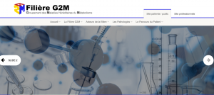 home page G2M website